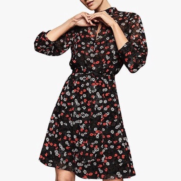 Reiss Dresses & Skirts - Reiss Peony Poppy Floral Print Chiffon Dress US12